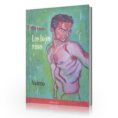 Los bajos reinos Los bajos reinos