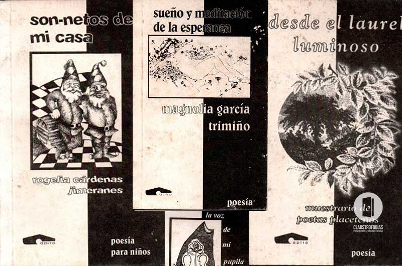 Aventuras editoriales: Página breve