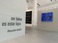 Alexander Apóstol: otra poética y lectura a la migración latinoamericana  