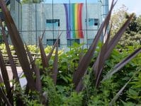 Voces y territorios de la literatura cubana LGBT+ después de Reinaldo Arenas