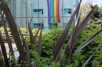 Voces y territorios de la literatura cubana LGBT+ después de Reinaldo Arenas