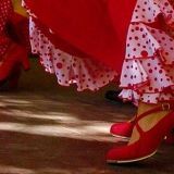Libro único sobre la eseñanza de la danza flamenca en Cuba