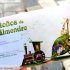 Nuevos números de la Revista LIJ Ibero en Feria del Libro de Guadalajara 2024