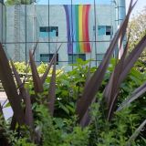 Voces y territorios de la literatura cubana LGBT+ después de Reinaldo Arenas