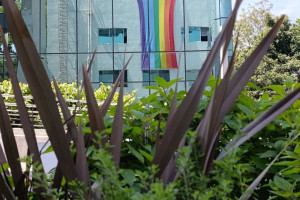 Voces y territorios de la literatura cubana LGBT+ después de Reinaldo Arenas
